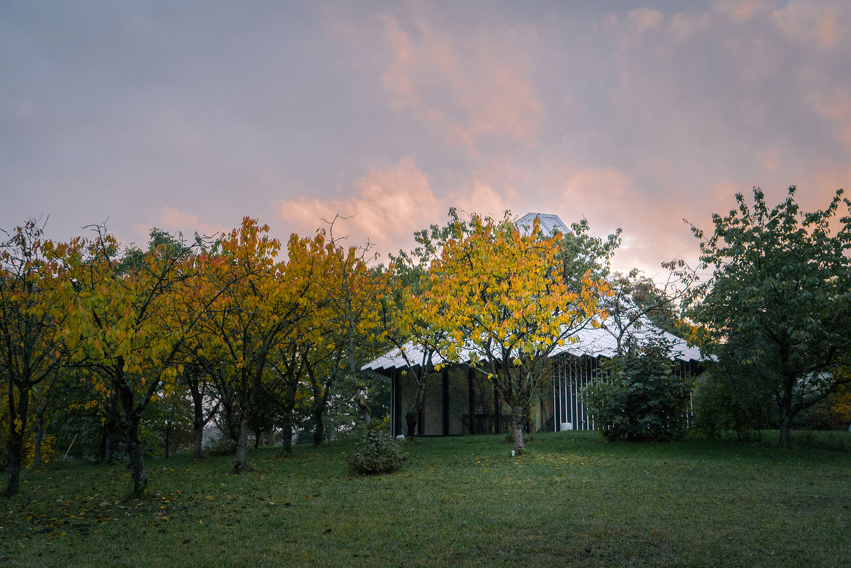 1544423412224034.jpg 13.jpg