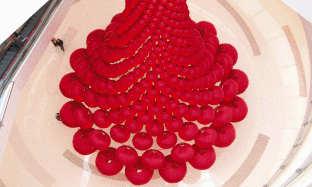 1544604025504895.jpg 20181212_152304_073.jpg