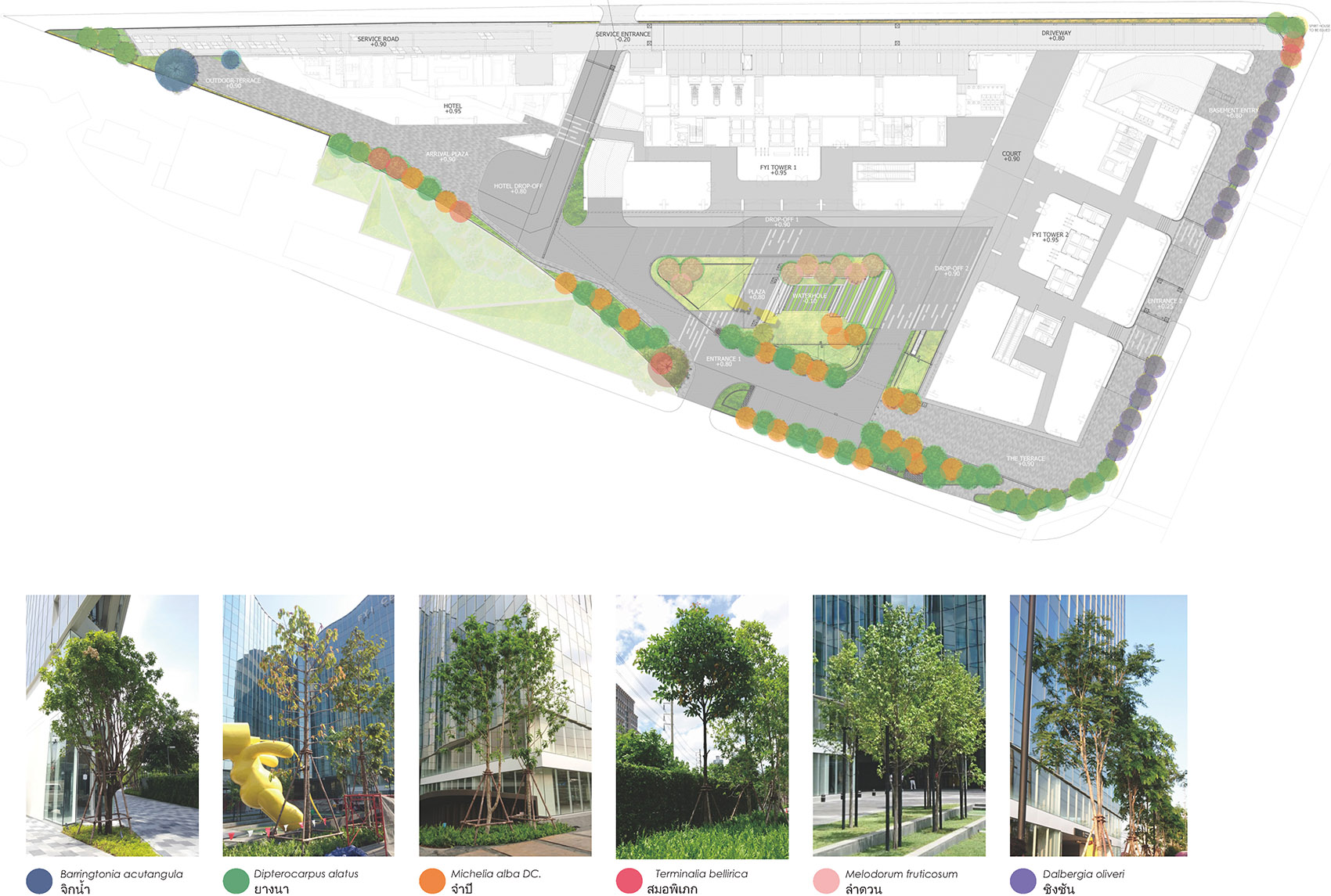 1544768828741086.jpg 16.jpg