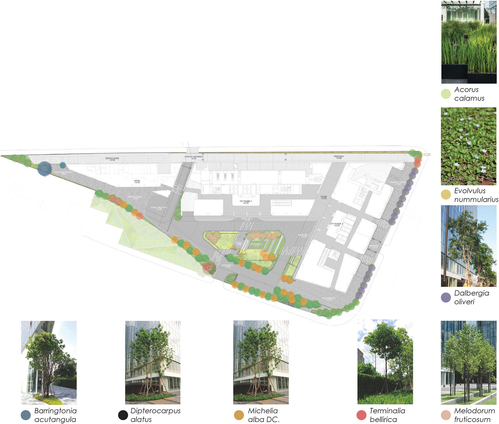 1544768842671742.jpg 17.jpg