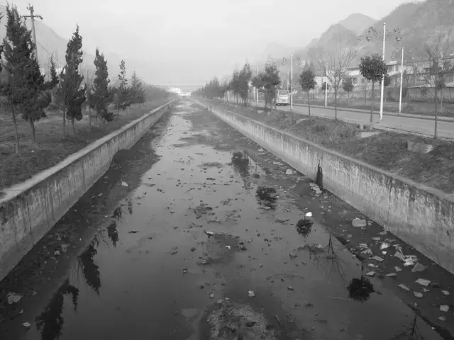 1545362973641665.jpg 640.webp.jpg