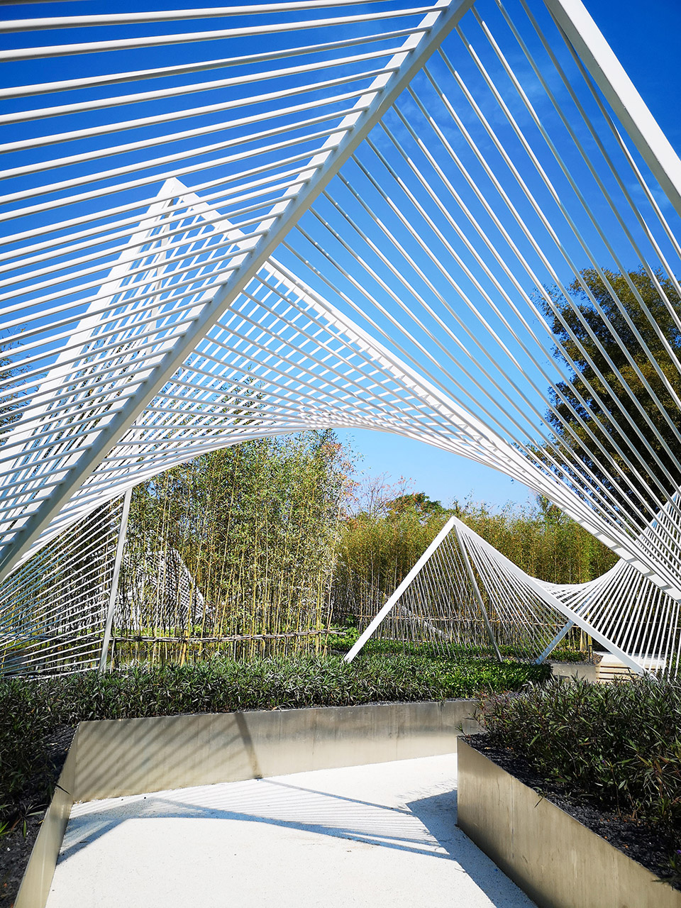 1545639978462633.jpg 03-in-the-mountains_SSJ-studio.jpg