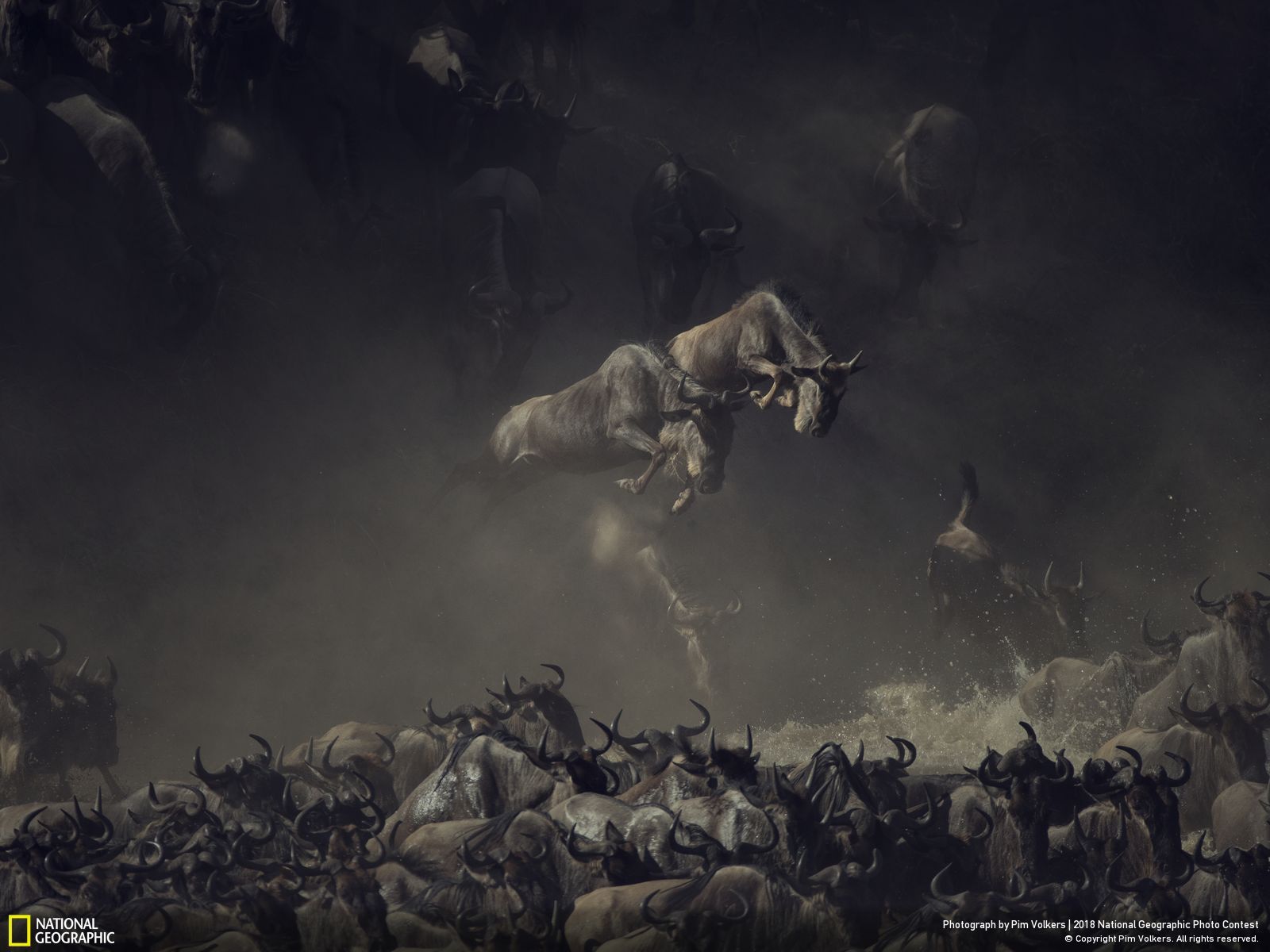 1545721828267225.jpg 12945758_1600x1200.jpg