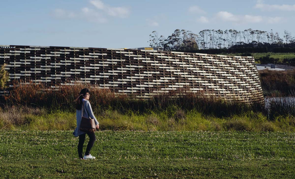 1545966533634912.jpg Isthmus-Kopupaka-Reserve-10.jpg