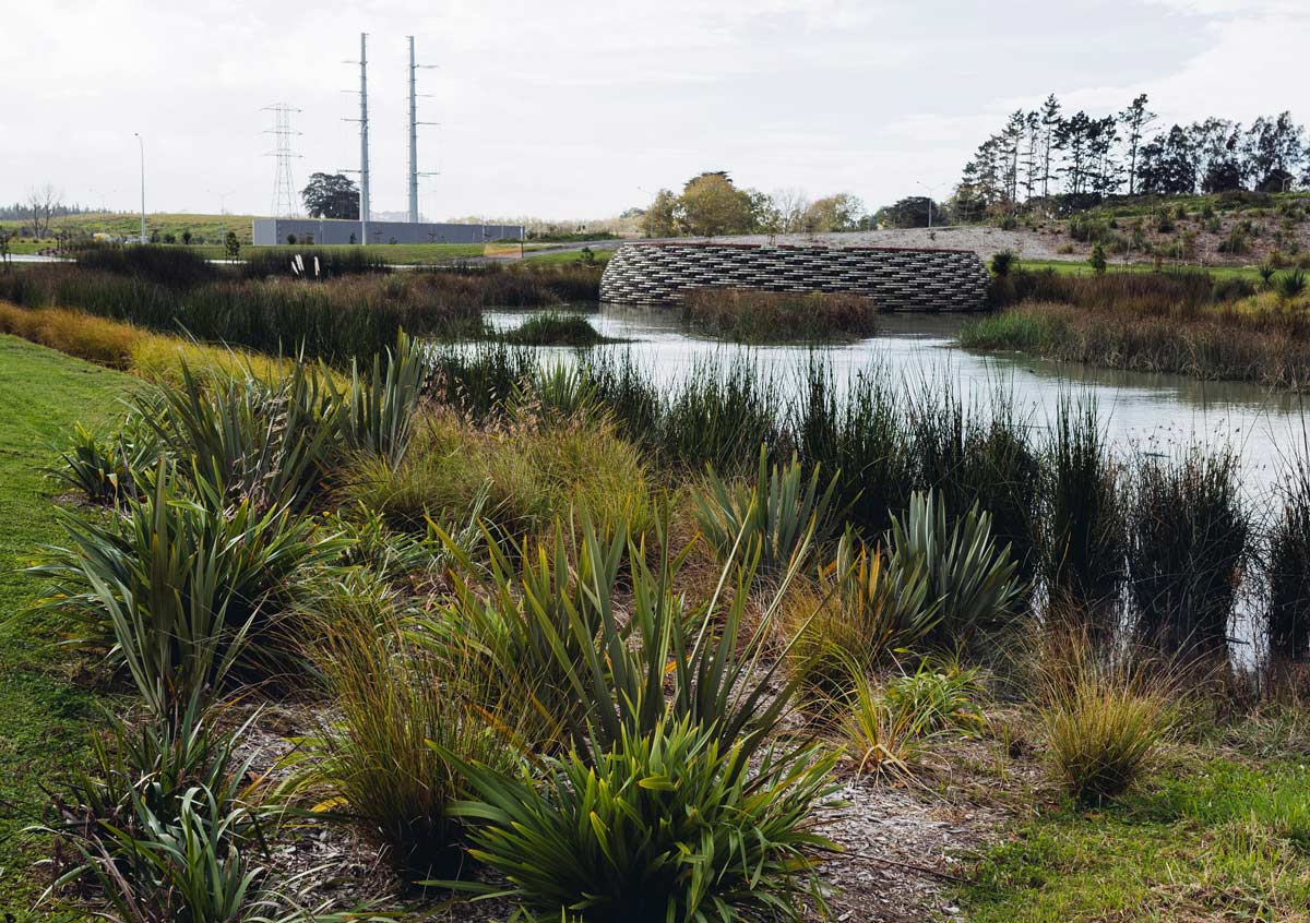 1545966537259434.jpg Isthmus-Kopupaka-Reserve-09.jpg