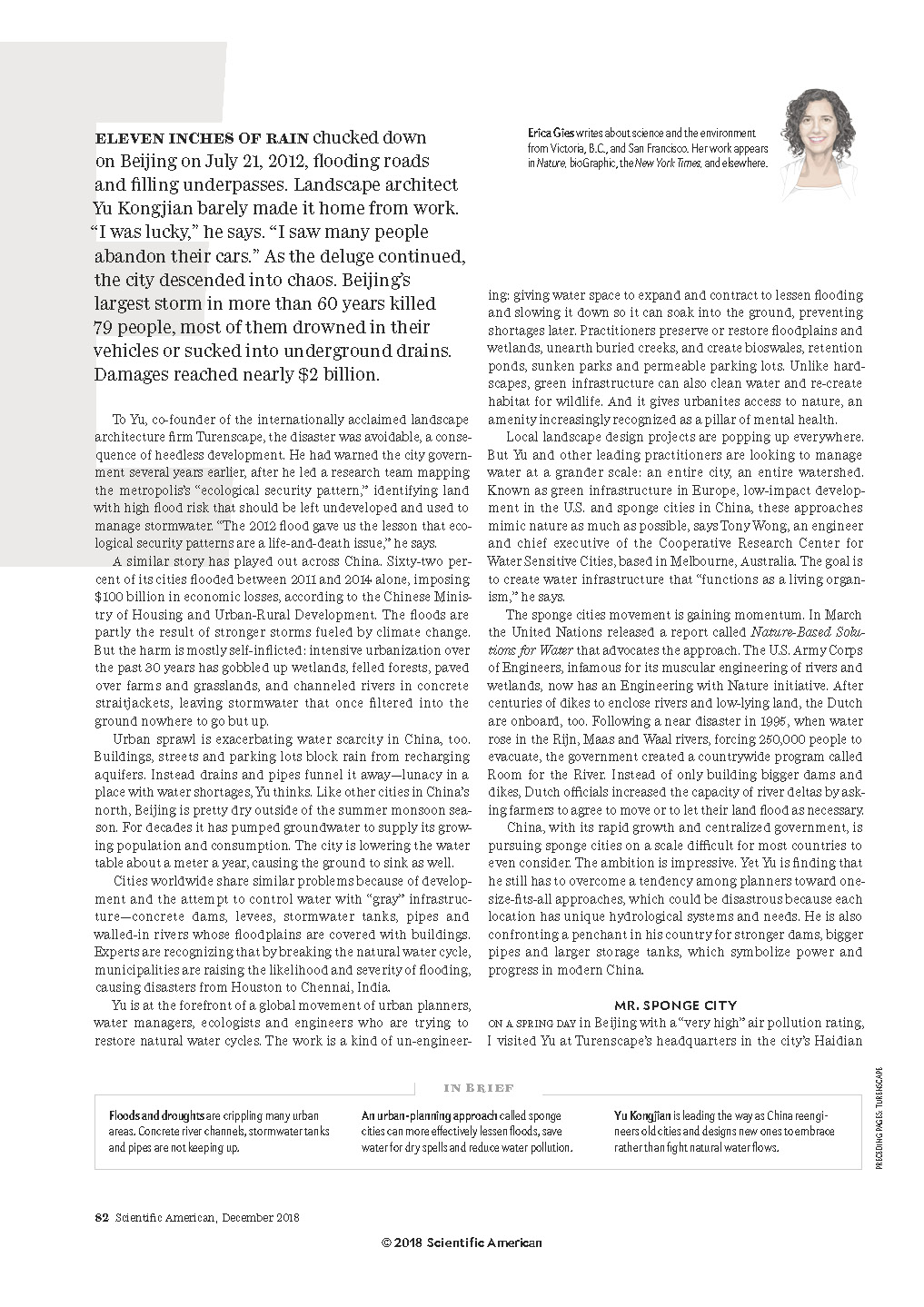 scientific america sponge city_頁(yè)面_3.jpg