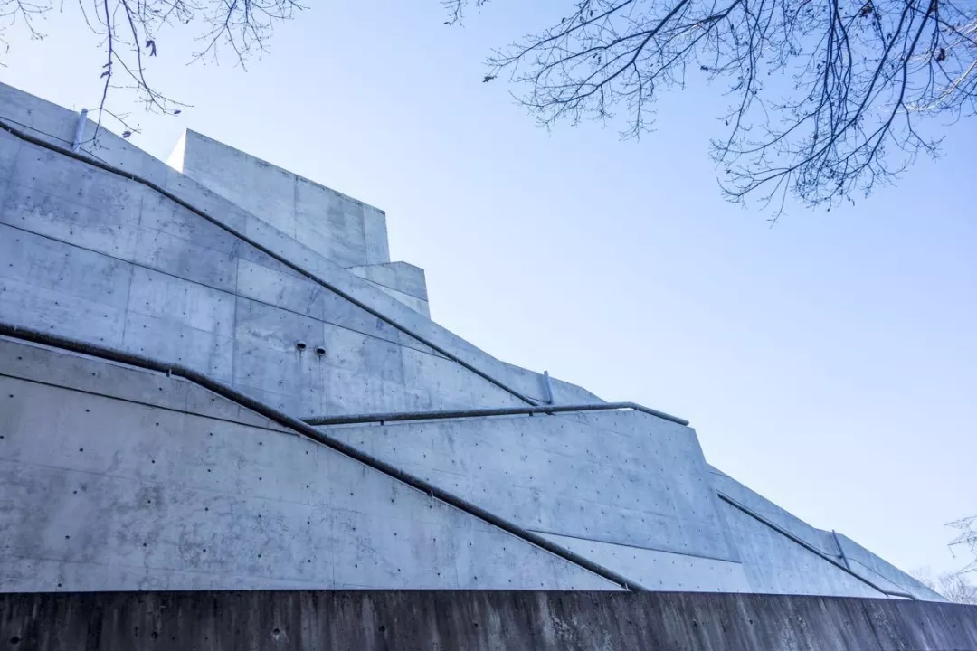 1546927403337155.jpg 640.webp (2).jpg