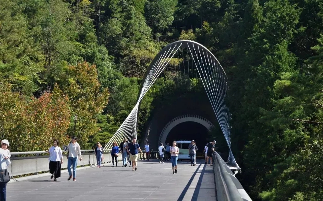 1546927675804282.jpg 640.webp (24).jpg