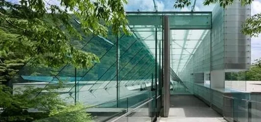 1546927972596908.jpg 640.webp (46).jpg