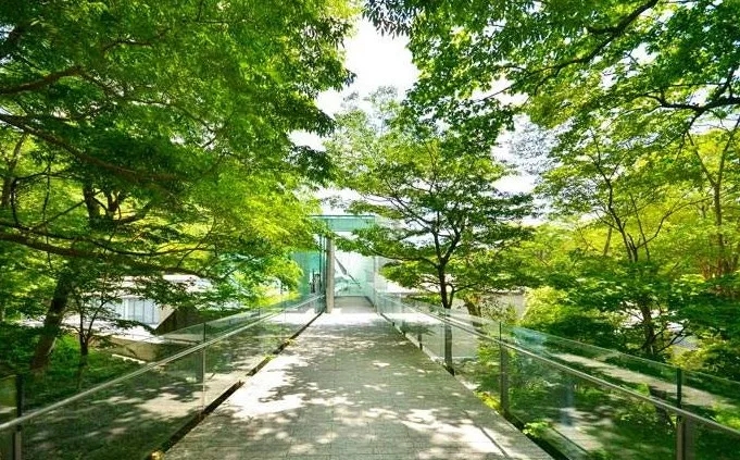 1546927981816033.jpg 640.webp (47).jpg