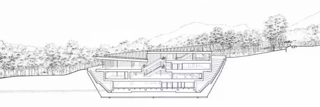 1546928009192028.jpg 640.webp (48).jpg