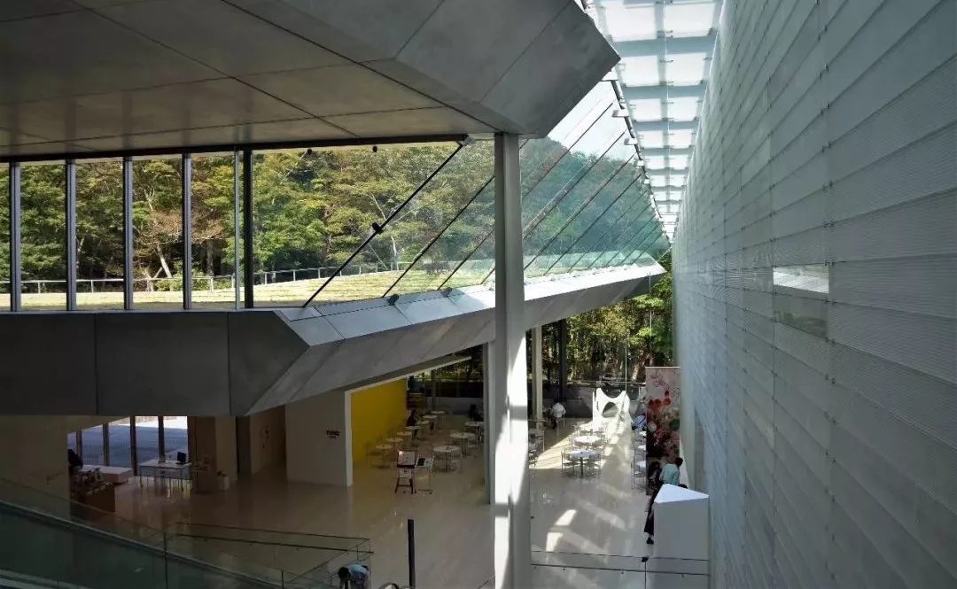 1546928017949270.jpg 640.webp (49).jpg