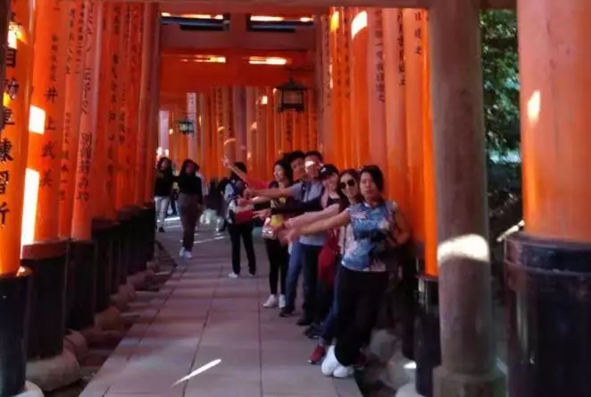 1546928375373947.jpg 640.webp (66).jpg