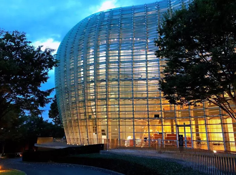 1546928399486604.jpg 640.webp (67).jpg