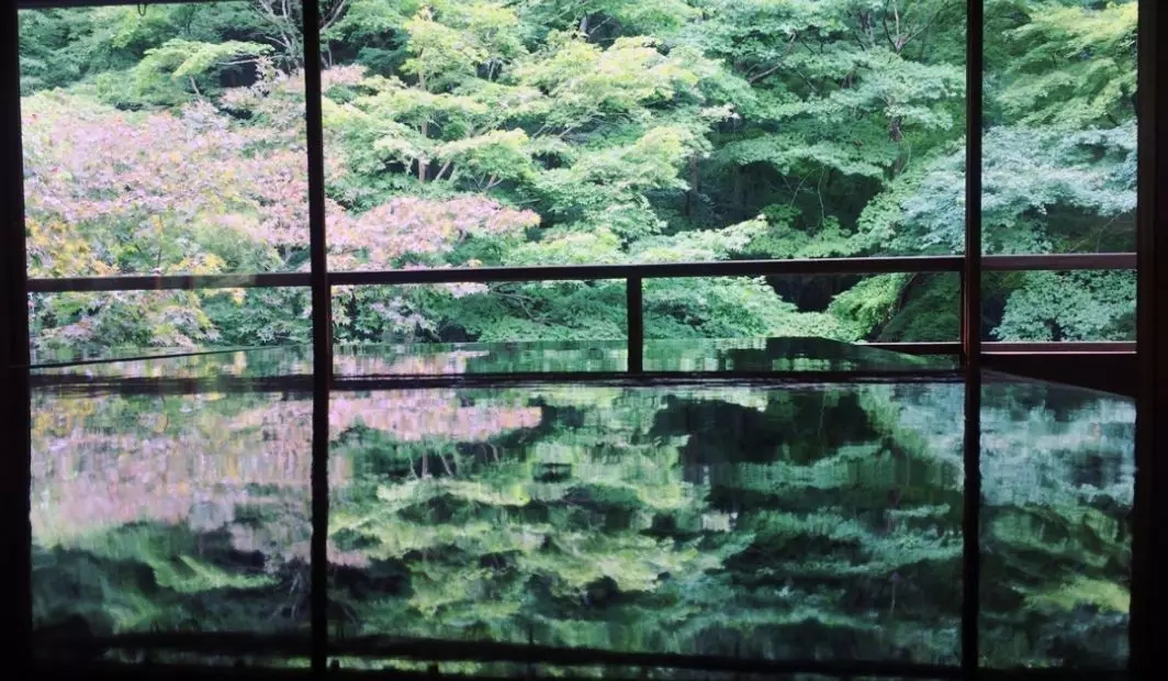 1546928405230206.jpg 640.webp (68).jpg