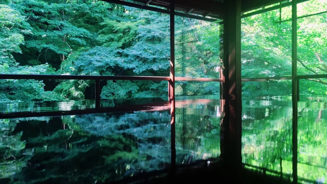 1546928411293422.jpg 640.webp (69).jpg