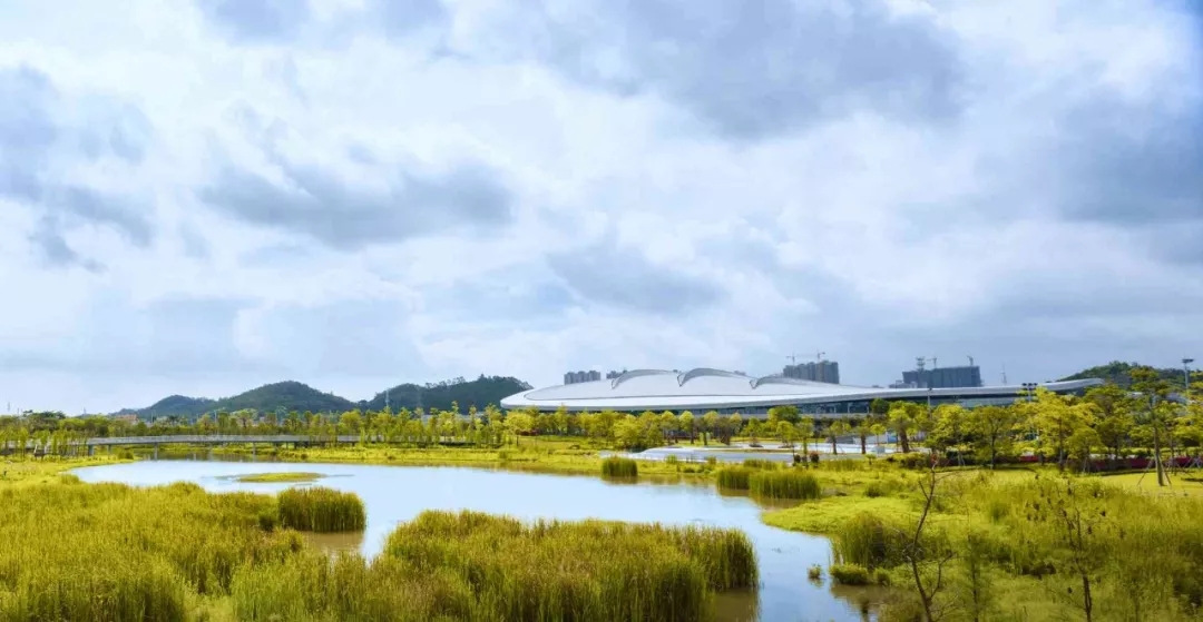 1547523180666167.jpg 640_tp=webp&wxfrom=5&wx_lazy=1&wx_co=1.webp.jpg