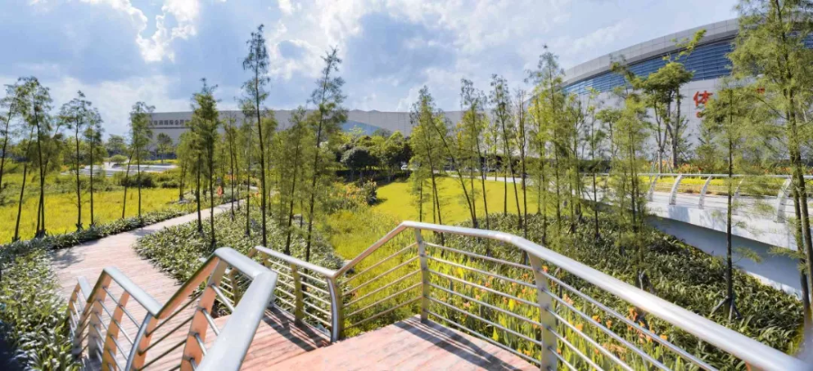 1547523217265260.png 導出圖片Tue Jan 15 2019 11_33_18 GMT+0800 (中國標準時間).png