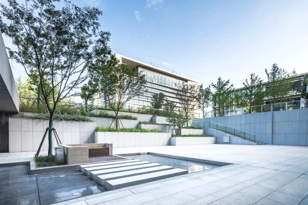 1547523257150332.jpg 640_tp=webp&wxfrom=5&wx_lazy=1&wx_co=1.webp (1).jpg