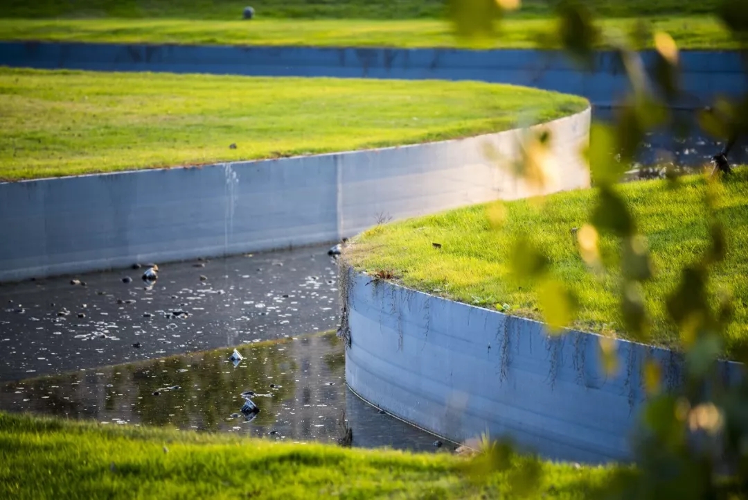 1547523326525380.jpg 640_wx_fmt=jpeg&tp=webp&wxfrom=5&wx_lazy=1&wx_co=1.webp (9).jpg