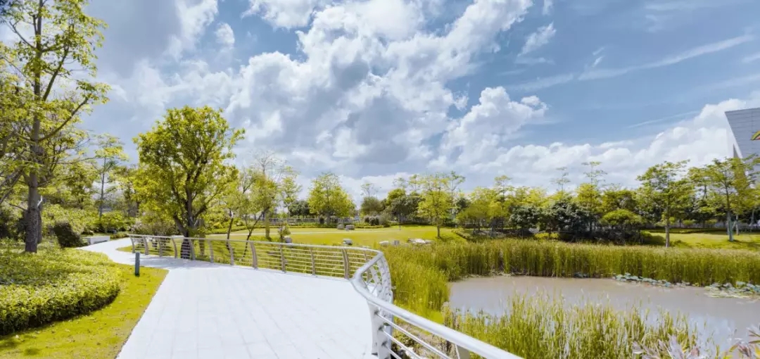 1547542087492924.jpg 20190115_163508_183.jpg