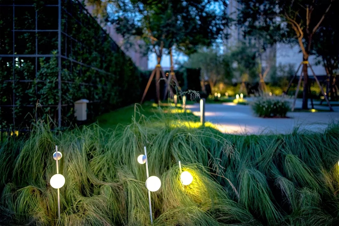 1547542141196227.jpg 20190115_163508_188.jpg