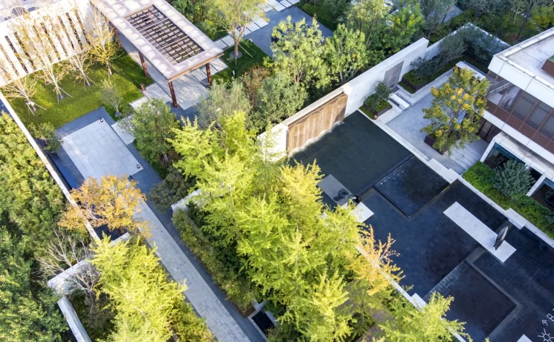 1547544058689982.jpg 20190115_163508_205.jpg