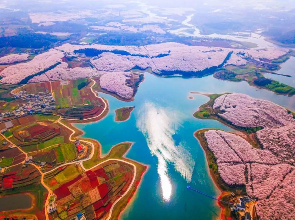 1551344472337591.jpg 20190228_163648_000.jpg