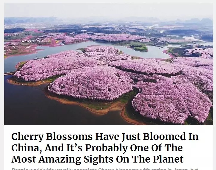 1551344484807734.jpg 20190228_163648_001.jpg