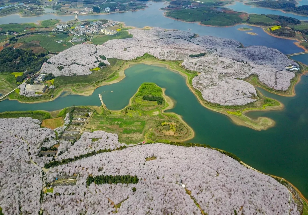 1551344490329184.jpg 20190228_163648_002.jpg