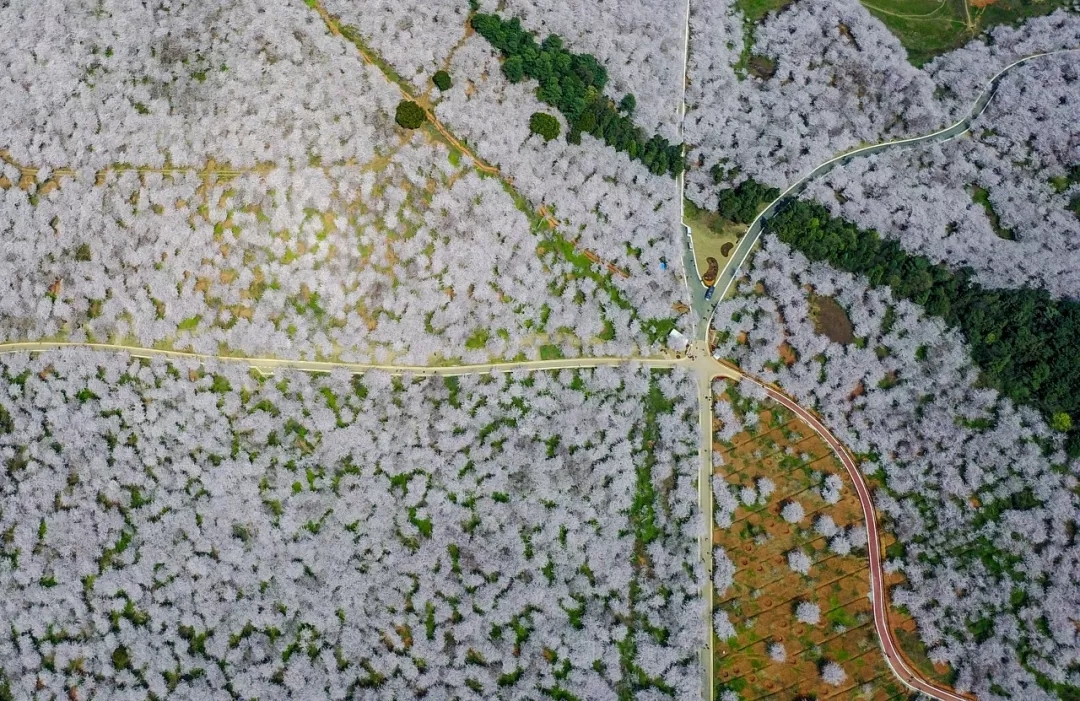 1551344568358652.jpg 20190228_163648_009.jpg