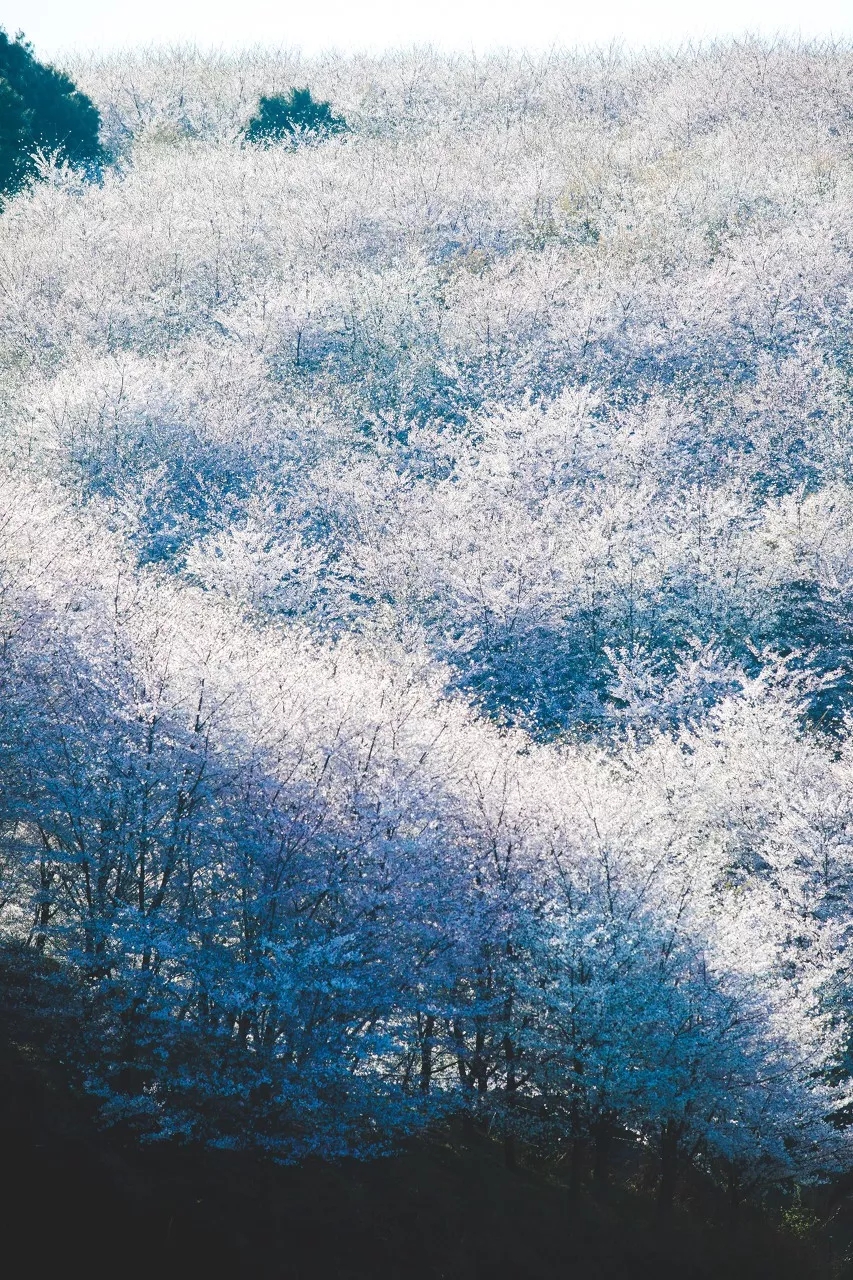 1551344583650043.jpg 20190228_163648_011.jpg