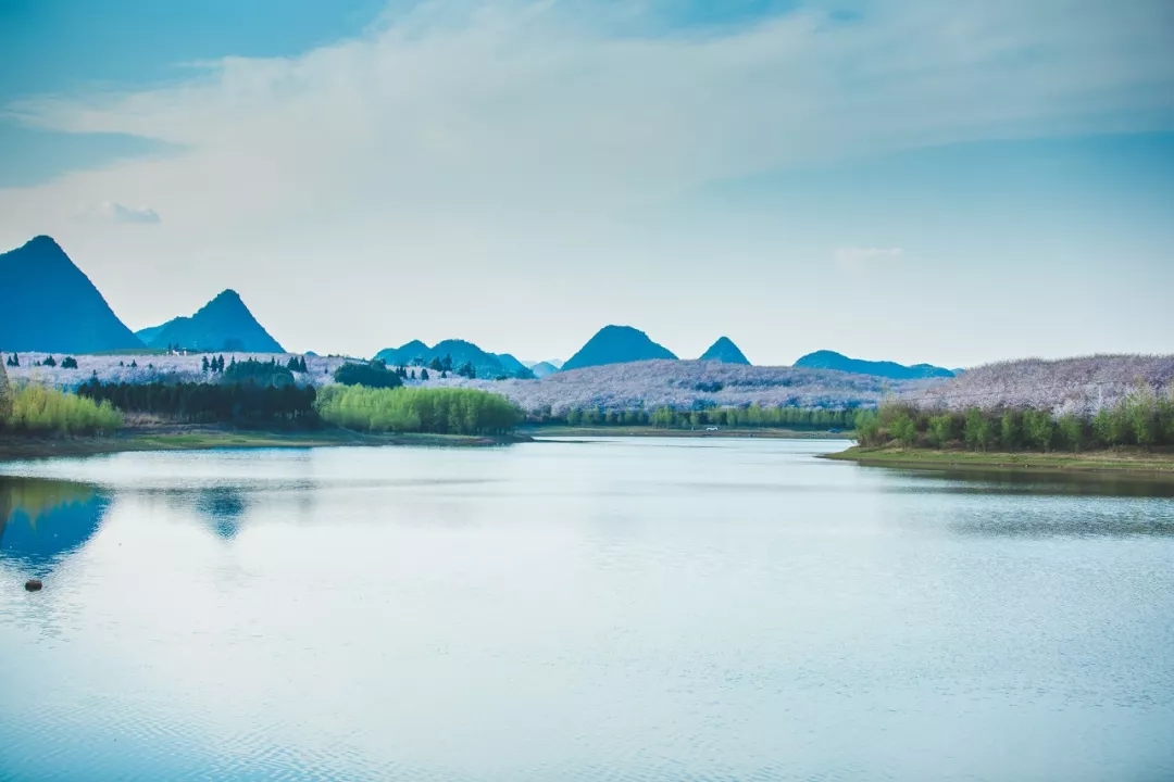 1551344684435964.jpg 20190228_163648_020.jpg