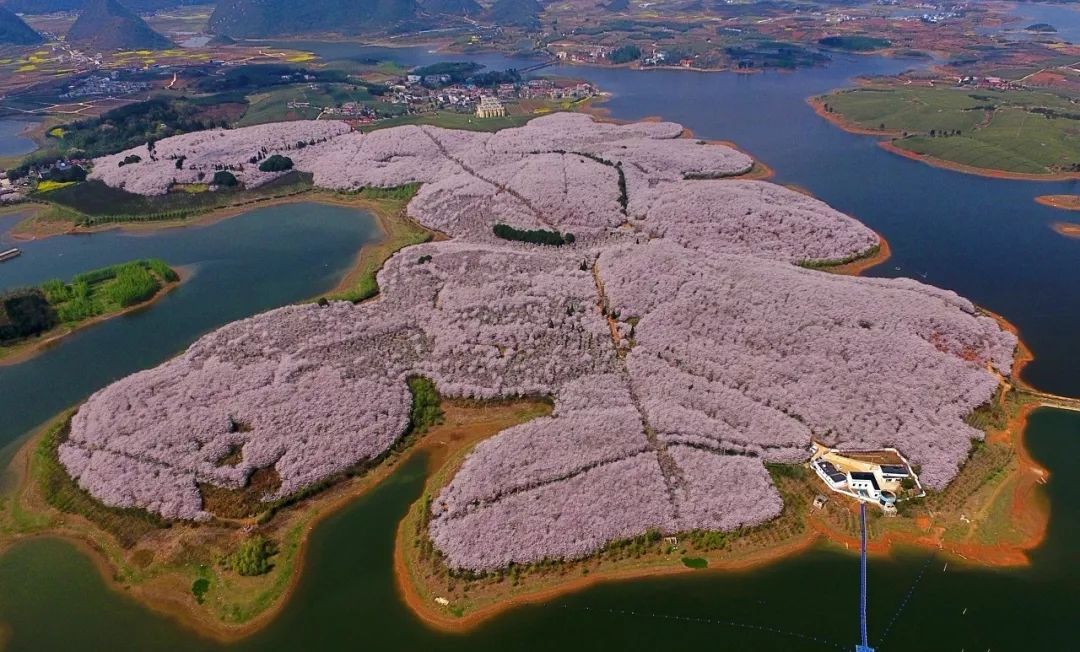 1551344710582051.jpg 20190228_163648_024.jpg