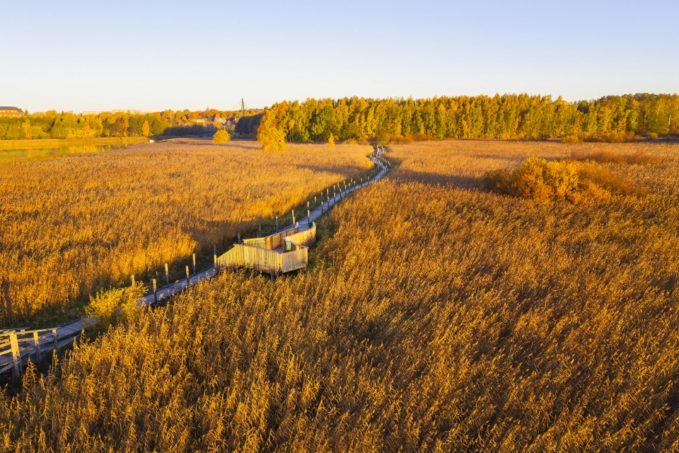 1552022909298122.jpg 007-nattours-accessible-recreational-path-by-studio-puisto-architects-960x640.jpg