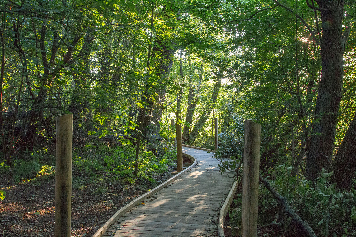 1552023654551400.jpg 16_Inka_Andelin.jpg