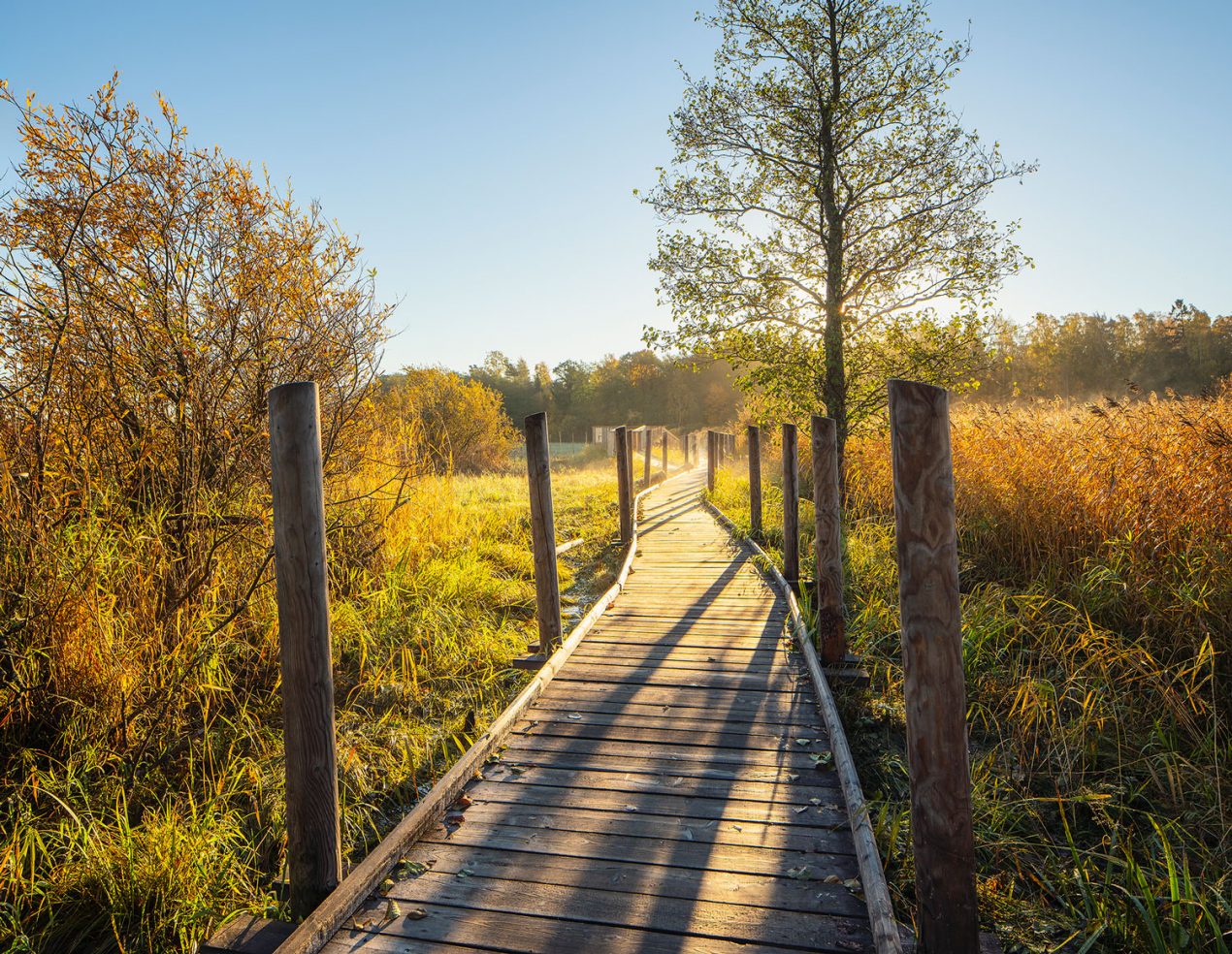 1552023683416548.jpg 4_Decopic.jpg