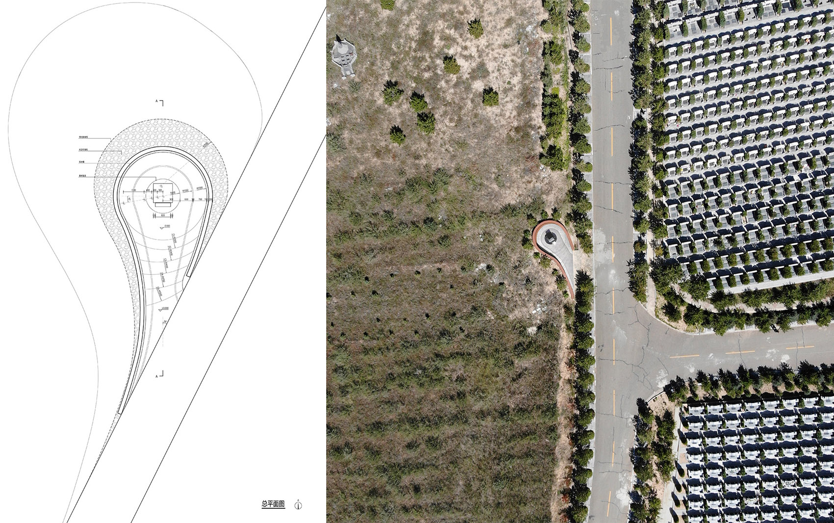 1552444504961487.jpg 11.jpg