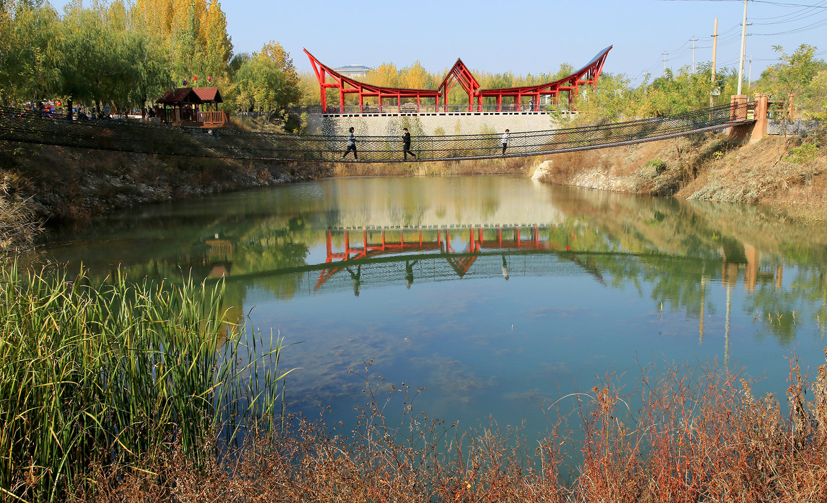 1554737175757870.jpg 2.jpg