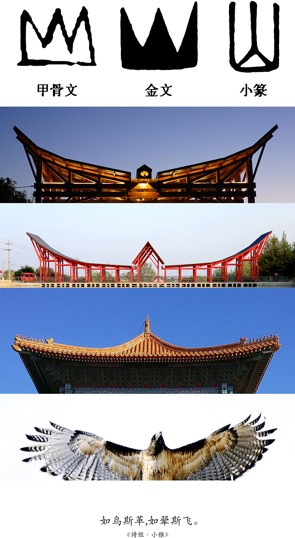 1554737211597793.jpg 5.jpg