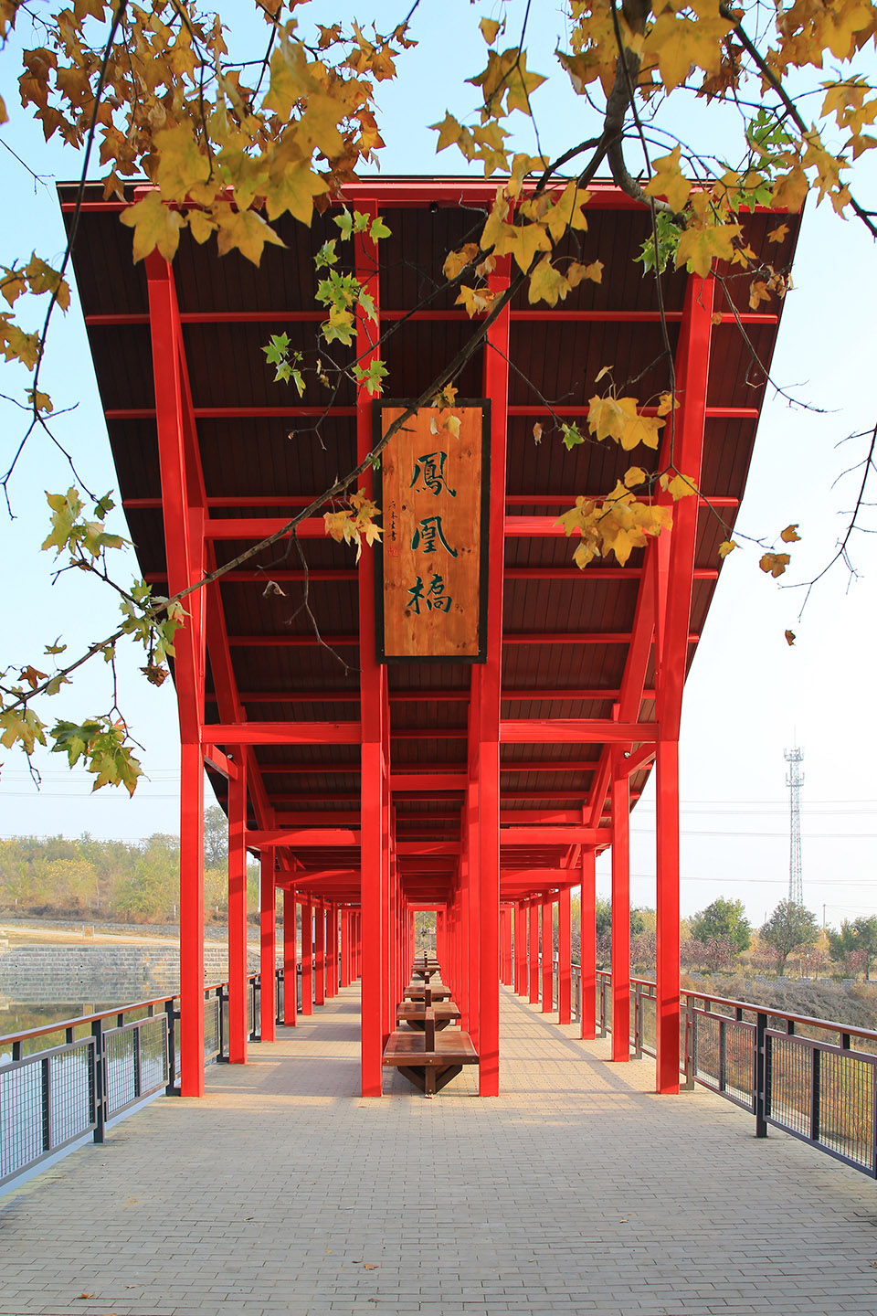 1554737335594507.jpg 15.jpg