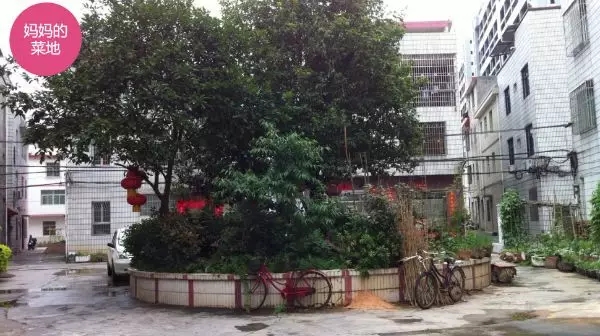 1557212278571337.jpg 20190507_145205_010.jpg