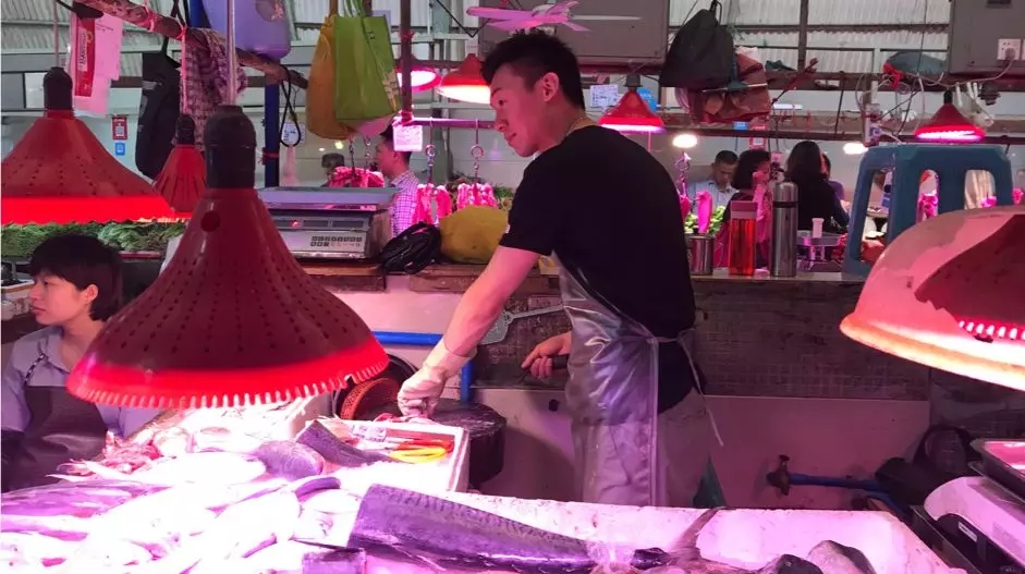 1557212835718237.jpg 20190507_145205_033.jpg