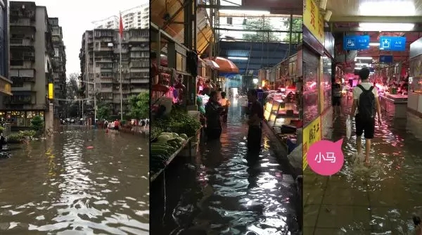 1557212875426230.jpg 20190507_145205_035.jpg