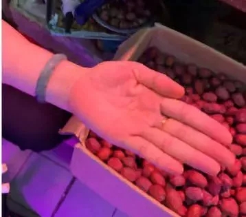 1557212946779505.jpg 20190507_145205_038.jpg