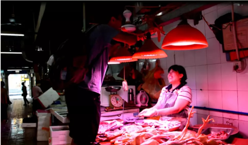 1557212997216998.jpg 20190507_145205_040.jpg