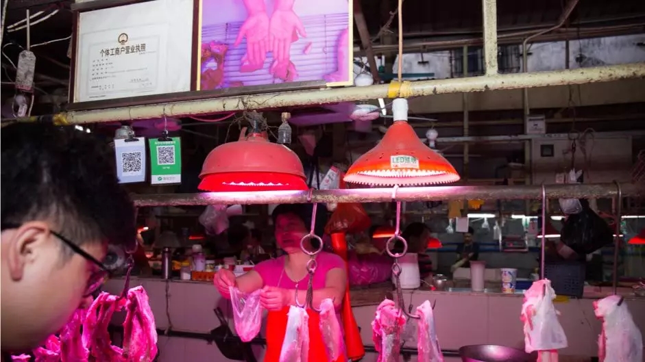 1557213335916756.jpg 20190507_145205_057.jpg