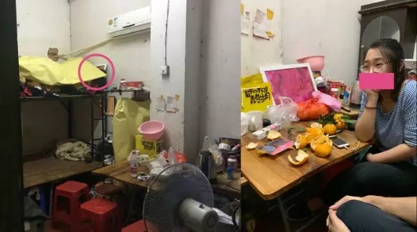 1557213543441576.jpg 20190507_145205_066.jpg