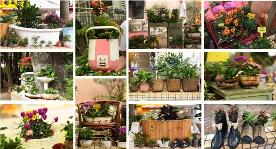 1557213856727138.jpg 20190507_145205_088.jpg