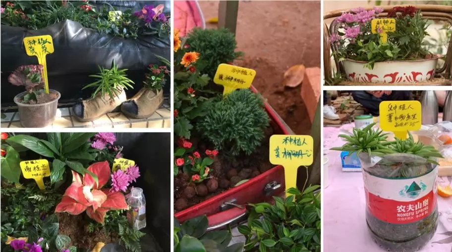 1557213876900498.jpg 20190507_145205_089.jpg